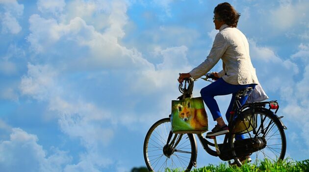 DMASUN-Exercise-Bike