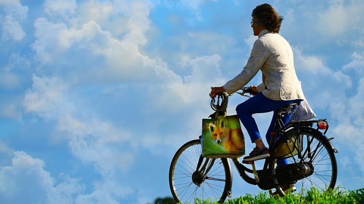 DMASUN-Exercise-Bike